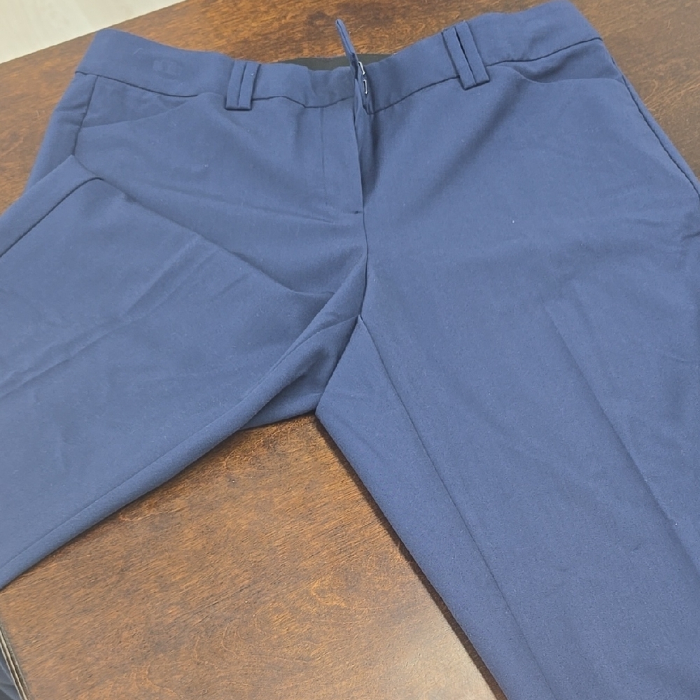 Stylish Blue Trousers